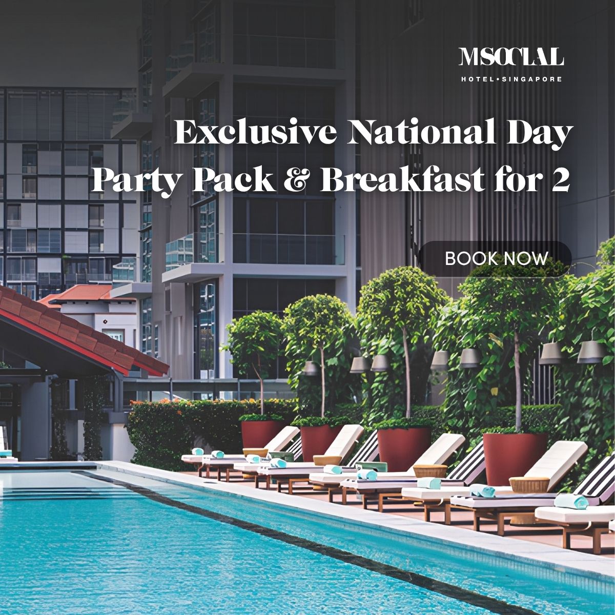 Partypack Pmax 1200x1200