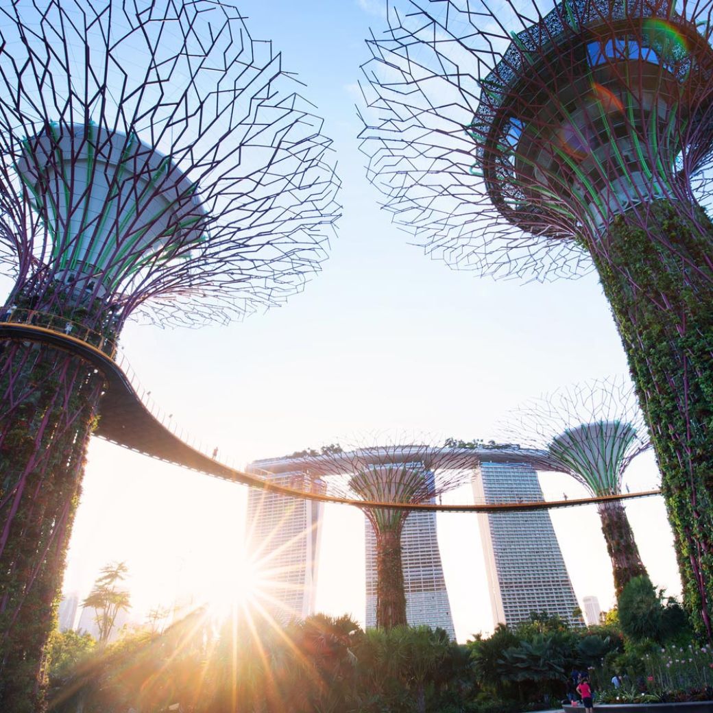 Gardens By The Bay